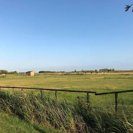 In Near The Wenduine